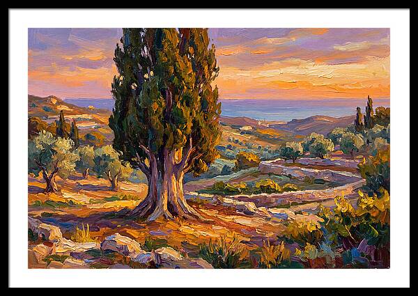 Cypress Tree At Sunset