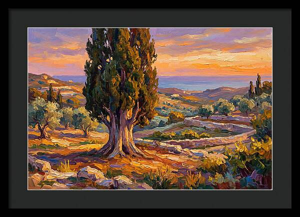Cypress Tree At Sunset