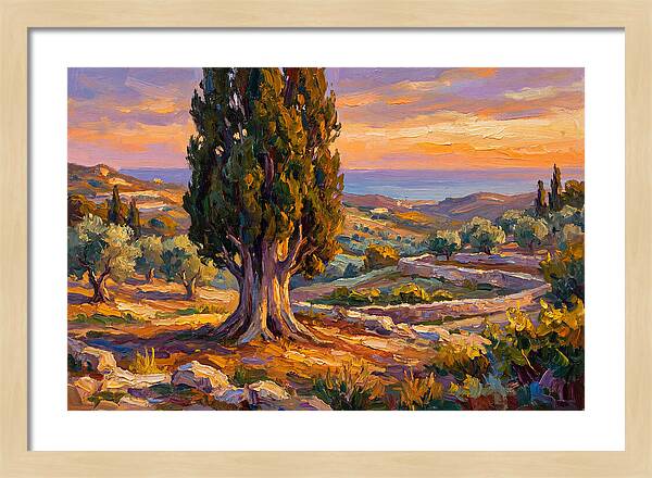 Cypress Tree At Sunset
