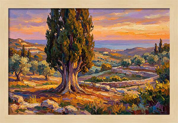 Cypress Tree At Sunset
