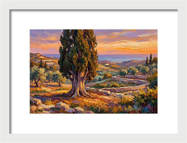 Cypress Tree At Sunset