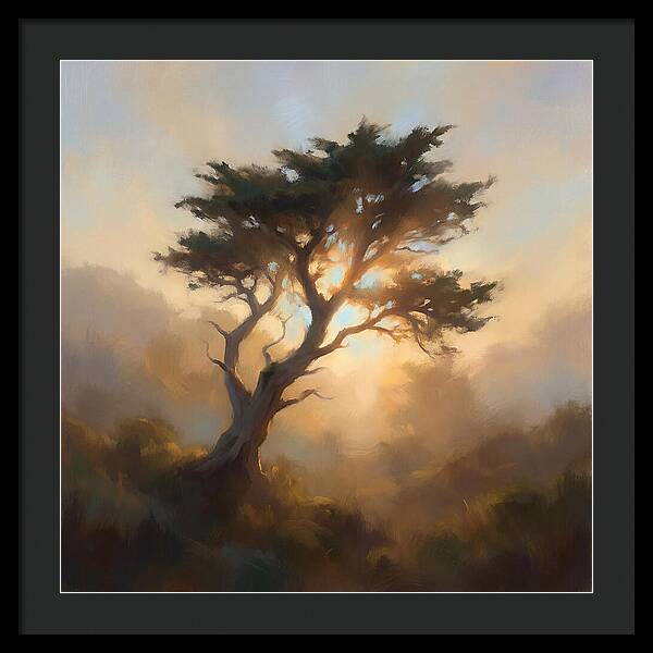 Cypress Tree