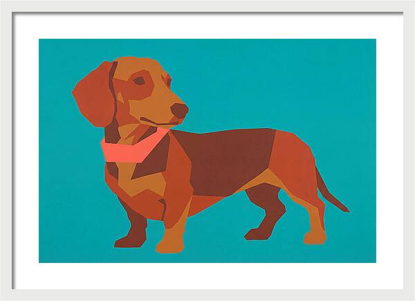 Dachshund Delight In Color