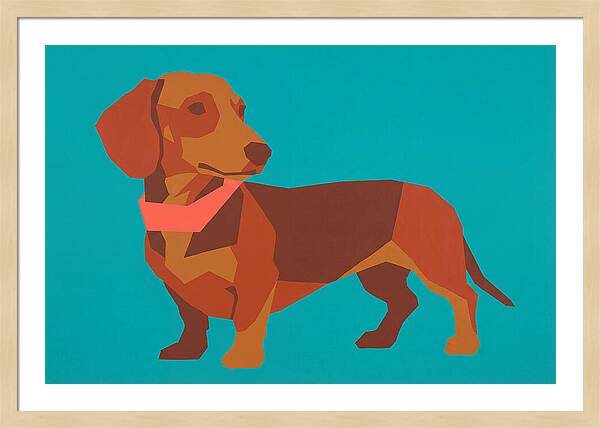 Dachshund Delight In Color