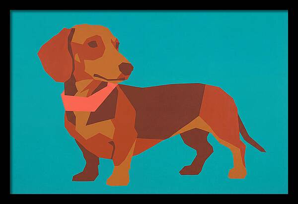 Dachshund Delight In Color