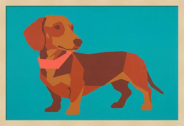 Dachshund Delight In Color
