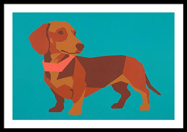 Dachshund Delight In Color