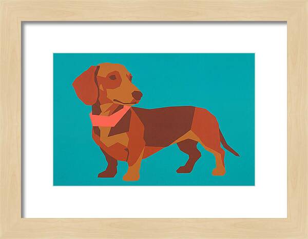 Dachshund Delight In Color
