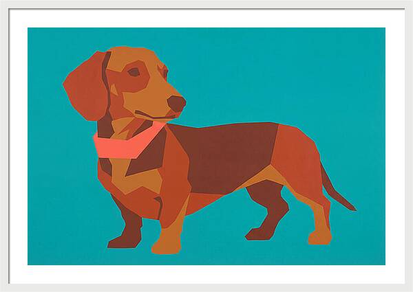 Dachshund Delight In Color
