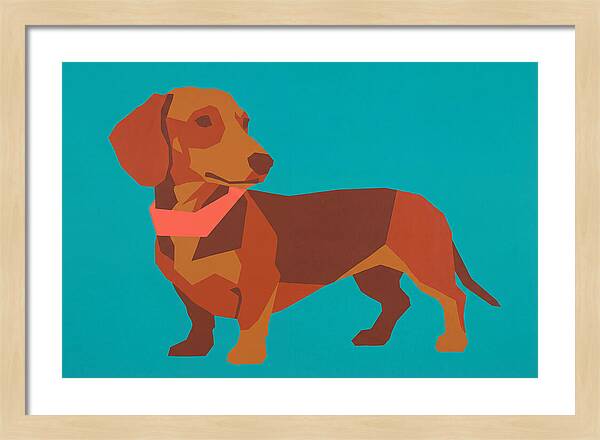 Dachshund Delight In Color