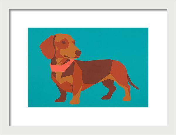 Dachshund Delight In Color