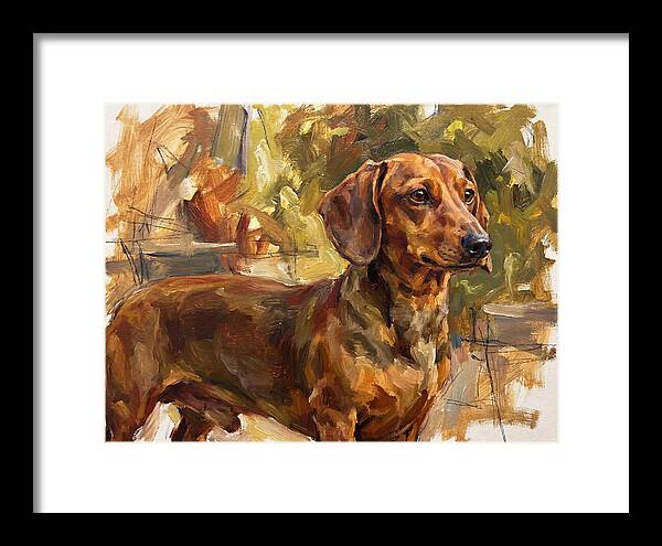 Dachshund In Natural Light