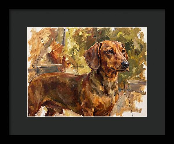 Dachshund In Natural Light