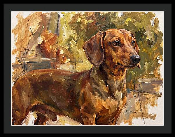 Dachshund In Natural Light