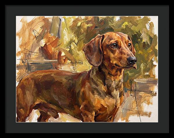 Dachshund In Natural Light