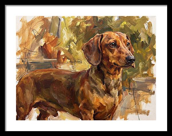Dachshund In Natural Light