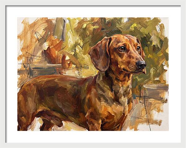 Dachshund In Natural Light