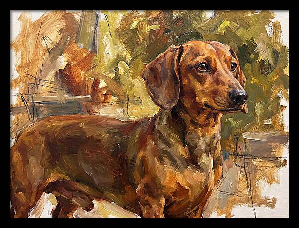 Dachshund In Natural Light