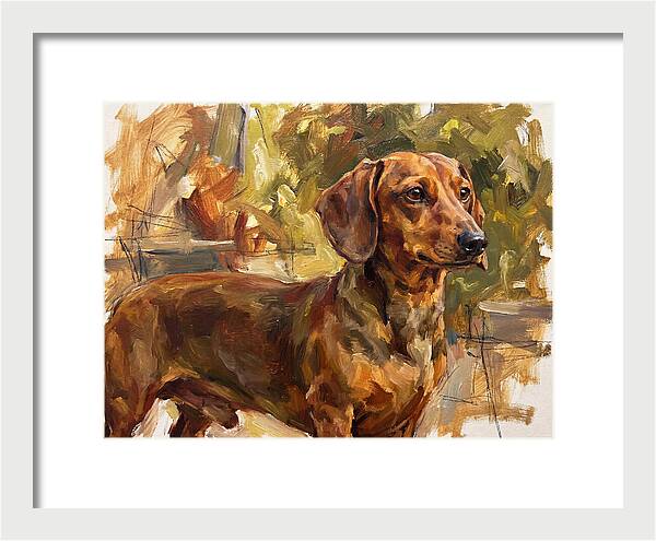 Dachshund In Natural Light