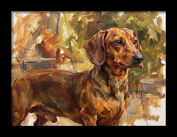Dachshund In Natural Light