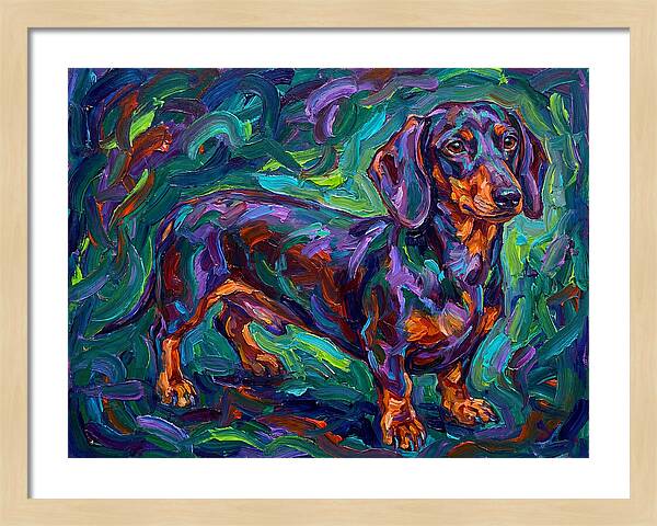 Dachshund In Vibrant Colors