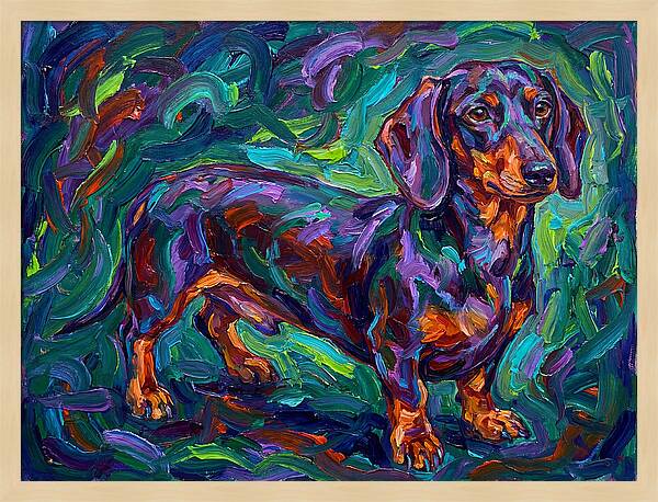 Dachshund In Vibrant Colors