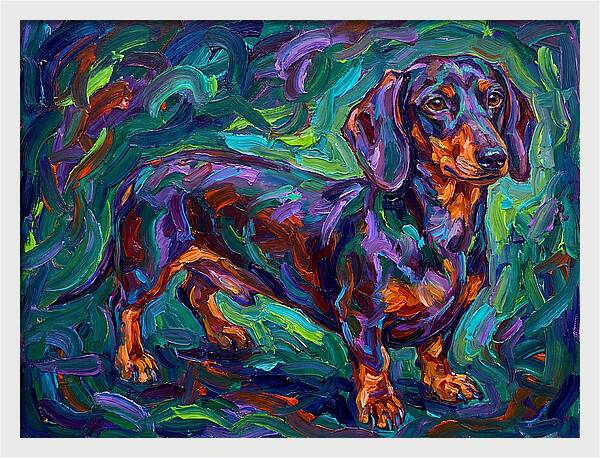 Dachshund In Vibrant Colors