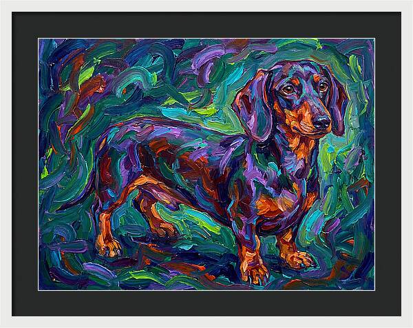 Dachshund In Vibrant Colors