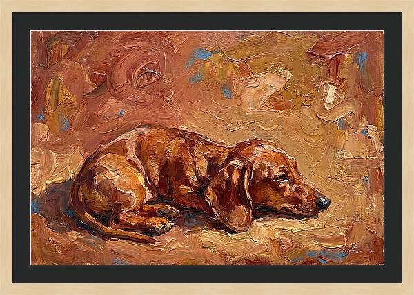 Dachshund Relaxing In Warm Tones