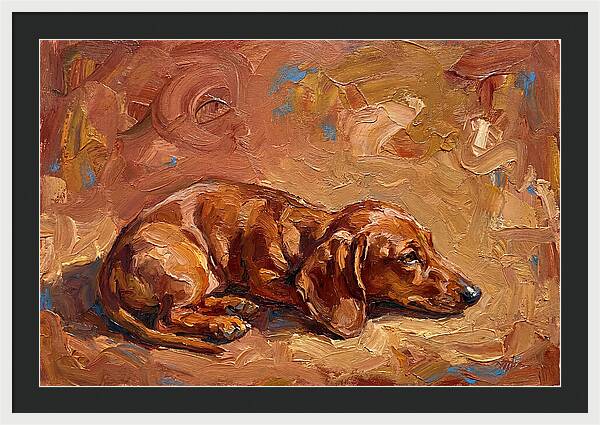 Dachshund Relaxing In Warm Tones