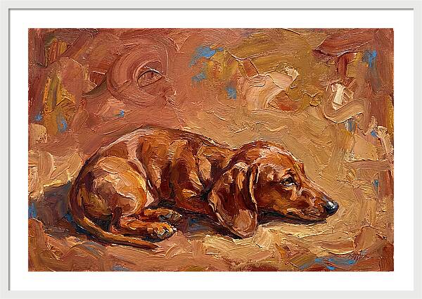 Dachshund Relaxing In Warm Tones