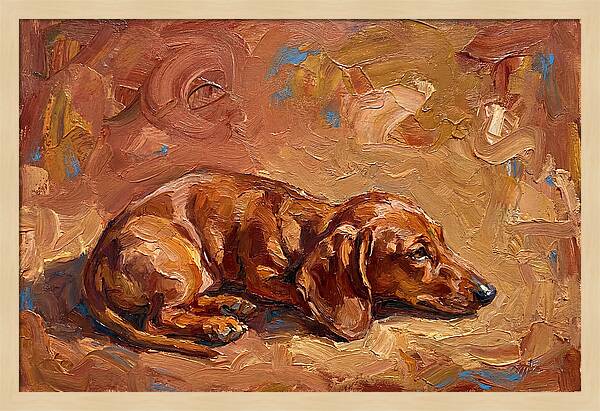 Dachshund Relaxing In Warm Tones