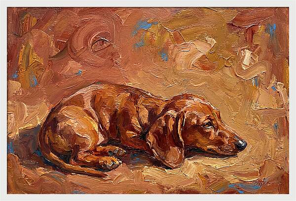 Dachshund Relaxing In Warm Tones