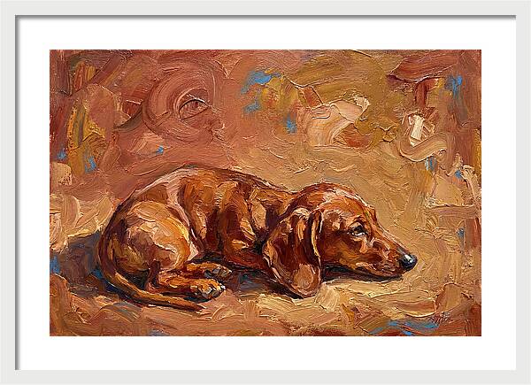Dachshund Relaxing In Warm Tones