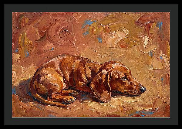 Dachshund Relaxing In Warm Tones