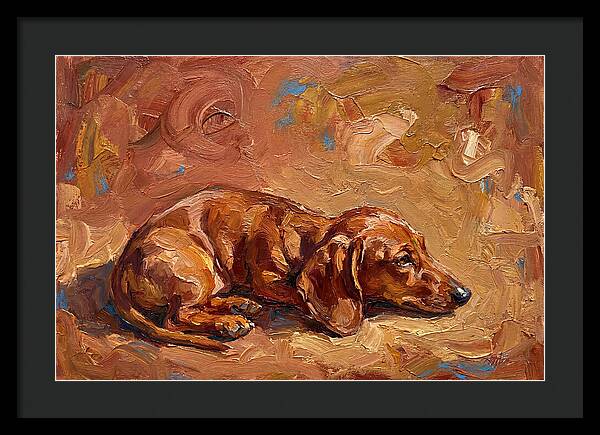 Dachshund Relaxing In Warm Tones