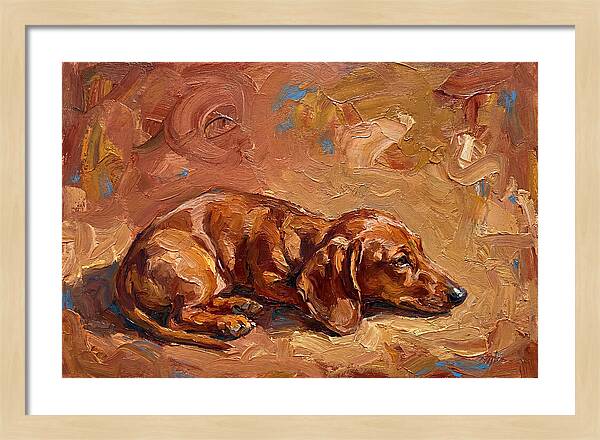 Dachshund Relaxing In Warm Tones