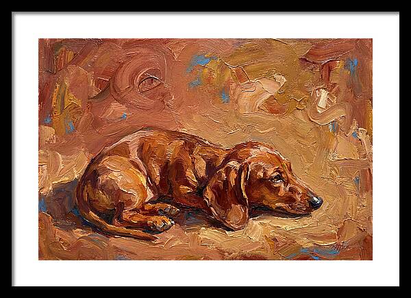 Dachshund Relaxing In Warm Tones