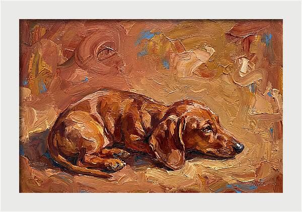 Dachshund Relaxing In Warm Tones