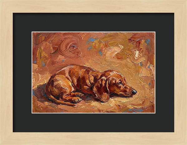 Dachshund Relaxing In Warm Tones