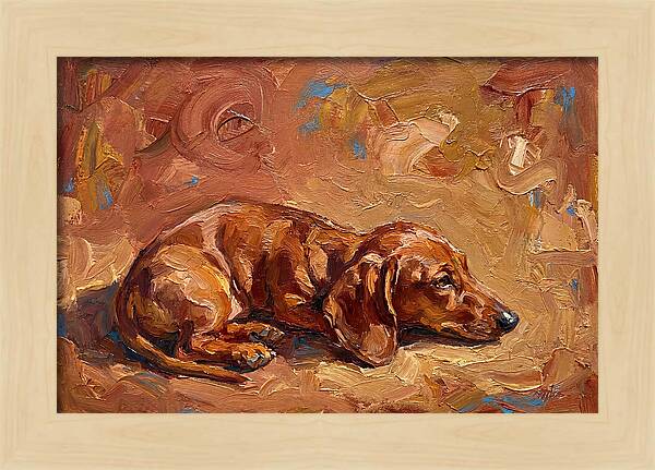 Dachshund Relaxing In Warm Tones