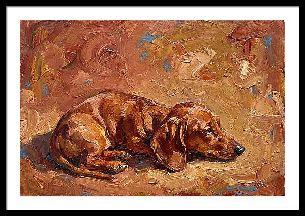 Dachshund Relaxing In Warm Tones