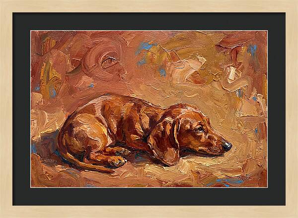 Dachshund Relaxing In Warm Tones