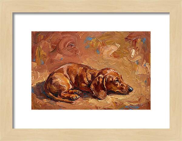 Dachshund Relaxing In Warm Tones