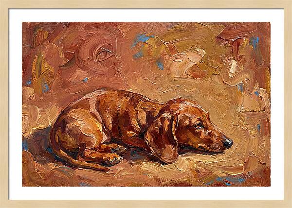 Dachshund Relaxing In Warm Tones