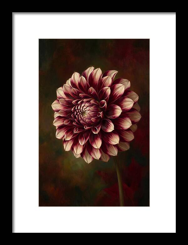 Dahlia Blossom Elegance