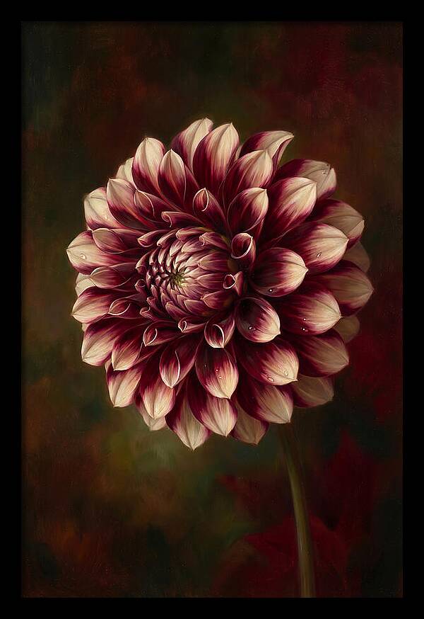 Dahlia Blossom Elegance