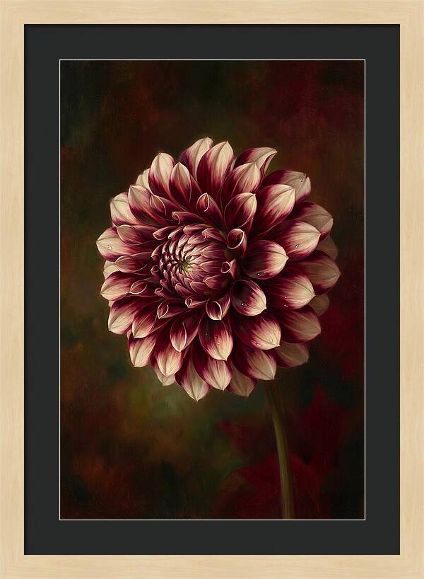 Dahlia Blossom Elegance