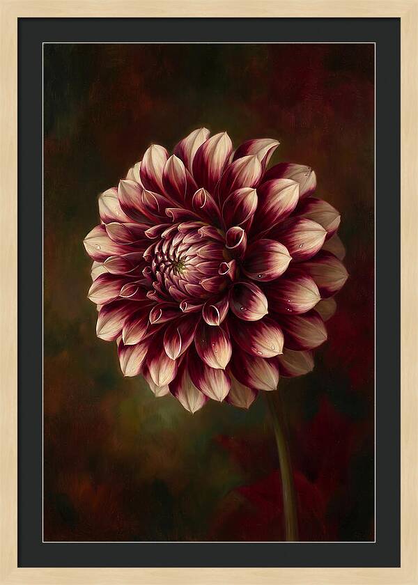 Dahlia Blossom Elegance