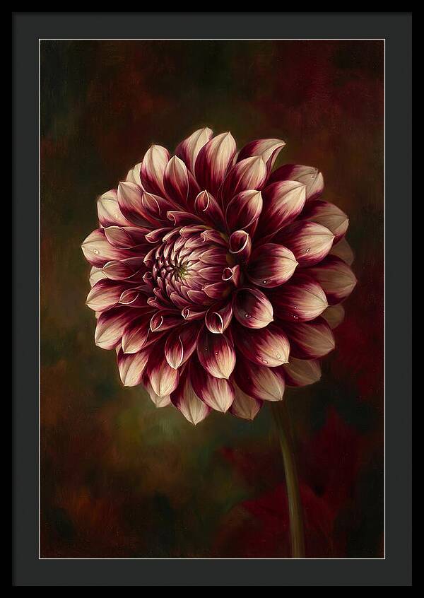Dahlia Blossom Elegance